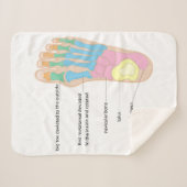 Struktur des menschlichen Fußes Sherpadecke (Vorderseite (Horizontal))