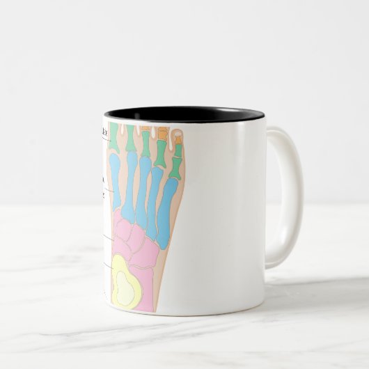 Struktur des menschlichen Fußes Zweifarbige Tasse (VorderseiteRechts)