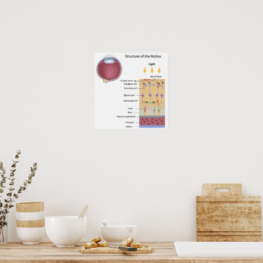 Struktur des Retina-Posters Poster (Küche)