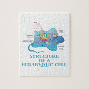 Struktur einer Eukaryotic Zelle (Eukaryote) Puzzle