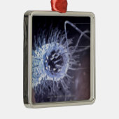 Struktur einer helicobacter Pförtnerzelle Ornament Aus Metall (Rechts)