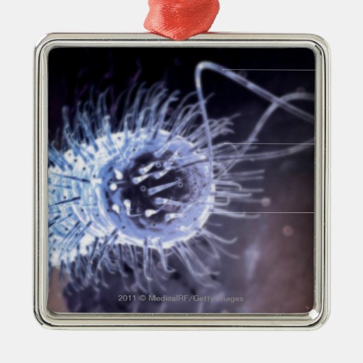 Struktur einer helicobacter Pförtnerzelle Ornament Aus Metall (Vorne)