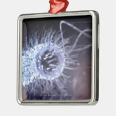 Struktur einer helicobacter Pförtnerzelle Ornament Aus Metall (Links)