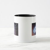 Struktur einer helicobacter Pförtnerzelle Tasse (Zentrum)