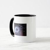 Struktur einer helicobacter Pförtnerzelle Tasse (Vorderseite Links)