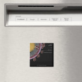 Struktur einer HIV-Zelle Magnet (In Situ (Geschirrspüler))