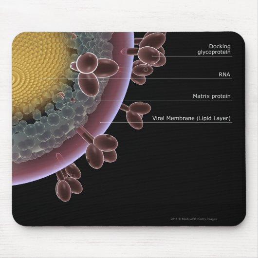 Struktur einer HIV-Zelle Mousepad (Vorne)