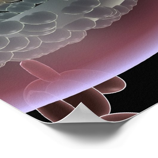 Struktur einer HIV-Zelle Poster (Ecke)