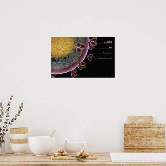 Struktur einer HIV-Zelle Poster (Küche)