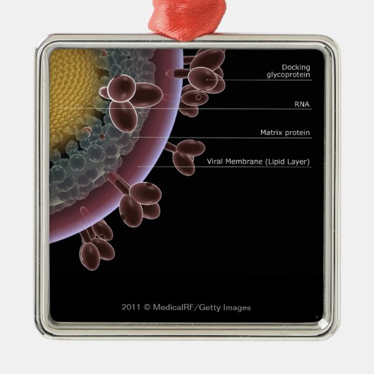 Struktur einer HIV-Zelle Silbernes Ornament (Vorne)