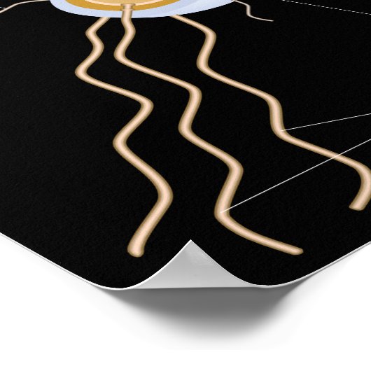 Struktur eines bakteriellen Zellposters Poster (Ecke)