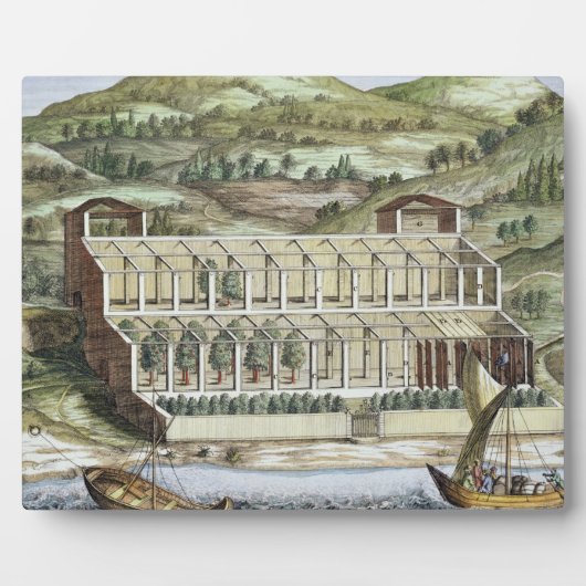 Struktur eines Hothouses, von 'Hesperides' von Gio Fotoplatte (Vorderseite)