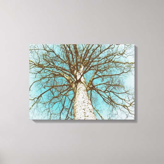 Struktur mit Zweigen Leinwanddruck (Vorderseite)