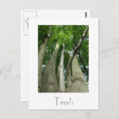 Struktur Postkartendesign Postkarte (Vorne/Hinten)