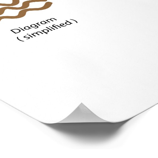 Struktur von Cholesterin und Triglyceriden Poster (Ecke)