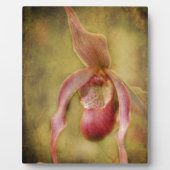 Strukturierte Frauenschuh Orchidee Fotoplatte (Vorderseite)