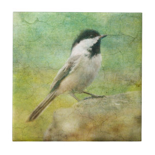 Strukturierter Chickadee Fliese