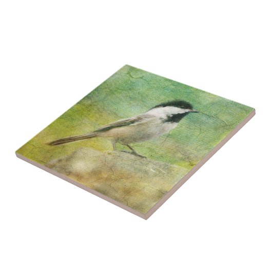 Strukturierter Chickadee Fliese (Seite)