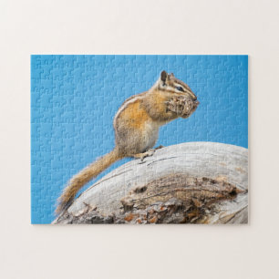 Strumpf zum Winterjigsaw-Puzzle Puzzle