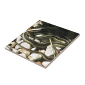 Strumpfband-Schlange auf Felsen Fliese (Seite)