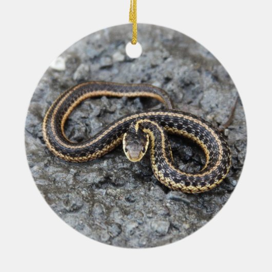 Strumpfband-Schlange Keramikornament (Hinten)