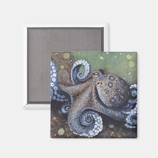 Strut Magnet (Vorderseite/Rückseite)