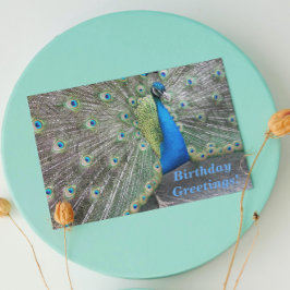 Strutting Blue Peacock Funny Birthday Karte