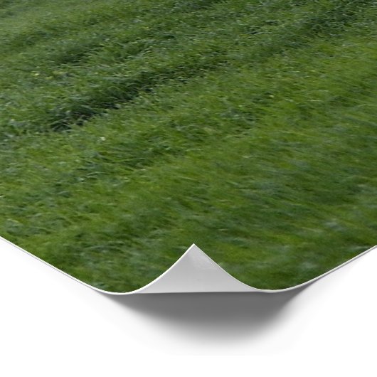 Stryker Infantry Carriers Poster (Ecke)