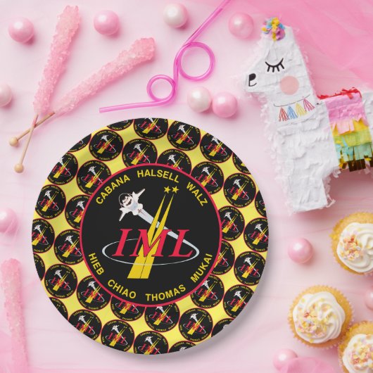 STS-65 Dienstsinsignien Pappteller (Party)