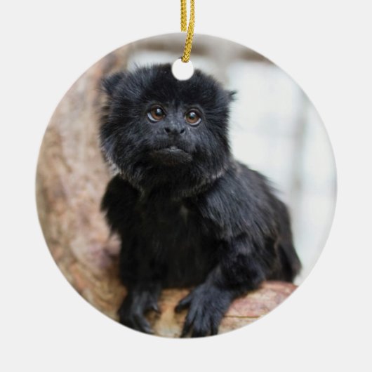 Stuart 2013 keramik ornament (Vorne)