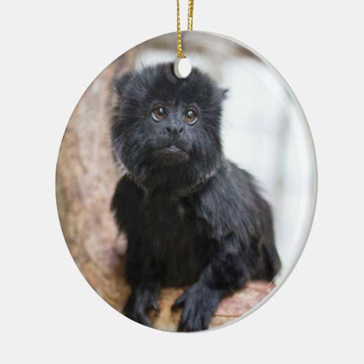 Stuart 2013 keramik ornament (Links)