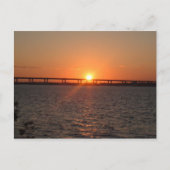 Stuart, FL Postkarte (Vorderseite)