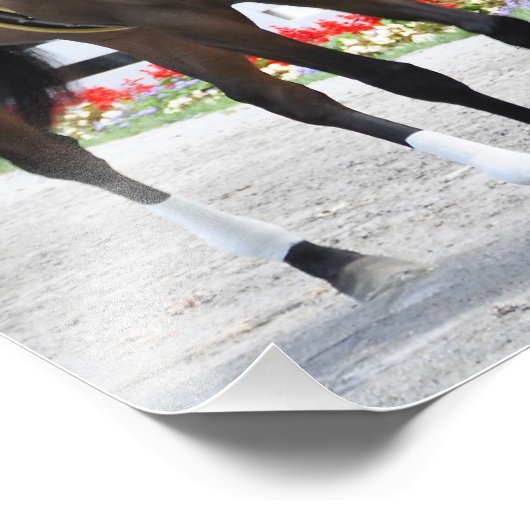 Stuart Janneys Dekoder Fotodruck (Ecke)