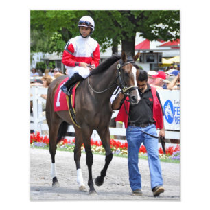 Stuart Janneys Dekoder Fotodruck