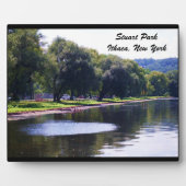 STUART PARK, ITHACA, N.Y. FOTOPLATTE (Vorderseite)
