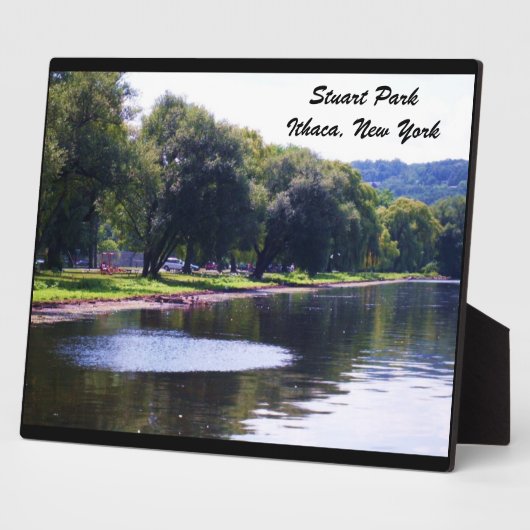 STUART PARK, ITHACA, N.Y. FOTOPLATTE (Seite)