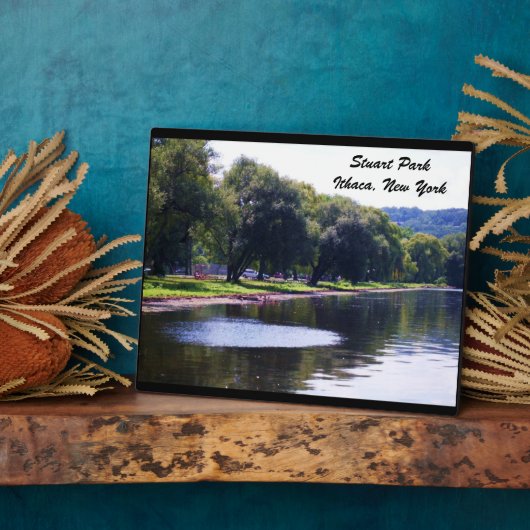 STUART PARK, ITHACA, N.Y. FOTOPLATTE (Seite)