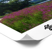 STUART PARK, ITHACA, NEW YORK-Plakat Poster (Ecke)