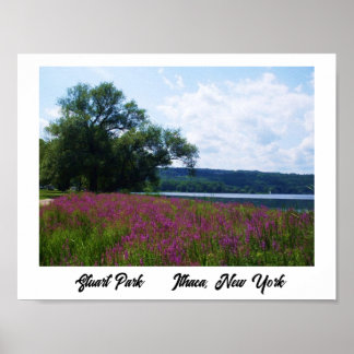 STUART PARK, ITHACA, NEW YORK-Plakat Poster
