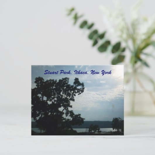 STUART PARK, ITHACA, NEW YORK Postkarte (Stehend Vorderseite)