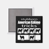 Stubborn American Eskimo Tricks Magnet (Vorderseite/Rückseite)
