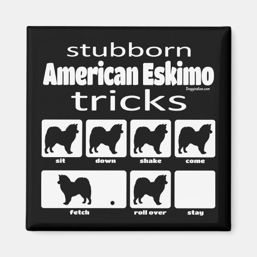 Stubborn American Eskimo Tricks Magnet (Vorne)