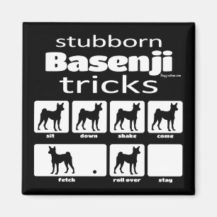 Stubborn Basenji Tricks Magnet