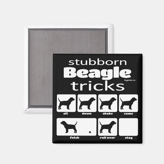 Stubborn Beagle Tricks Magnet (Vorderseite/Rückseite)