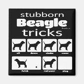 Stubborn Beagle Tricks Magnet (Vorne)