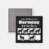 Stubborn Bernese Tricks Magnet (Vorderseite/Rückseite)