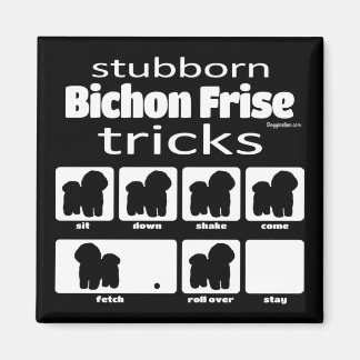 Stubborn Bichon Frise Tricks Magnet