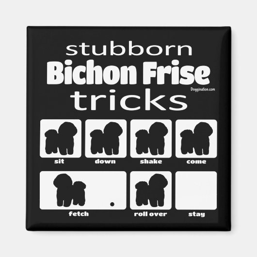 Stubborn Bichon Frise Tricks Magnet (Vorne)