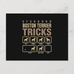 Stubborn Boston Terrier Tricks Dog Lover T - Shirt Feiertagspostkarte