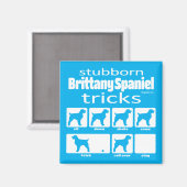 Stubborn Brittany Spanisch Tricks Magnet (Vorderseite/Rückseite)